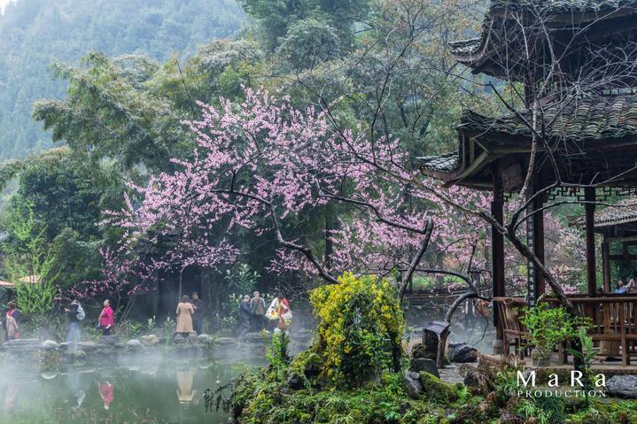 外婆喜欢超前消费是一种什么样的体验?-精准有问必答平台